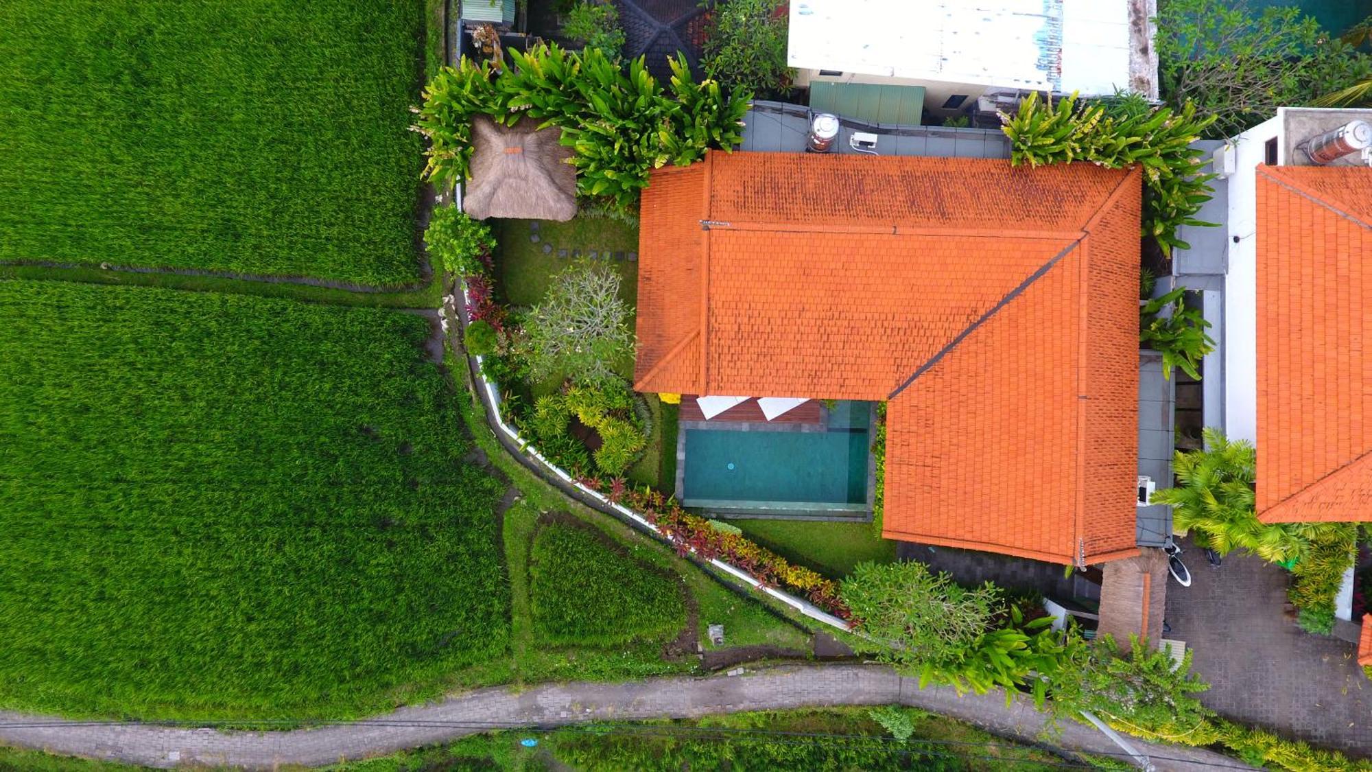 Villa Maya Ubud, Peaceful Rice Field View Екстериор снимка