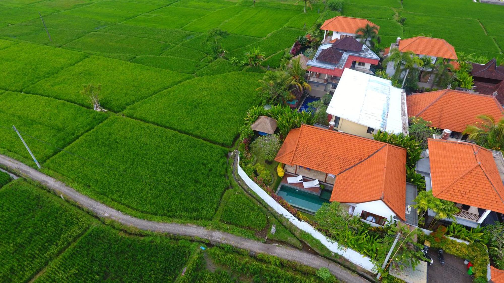 Villa Maya Ubud, Peaceful Rice Field View Екстериор снимка