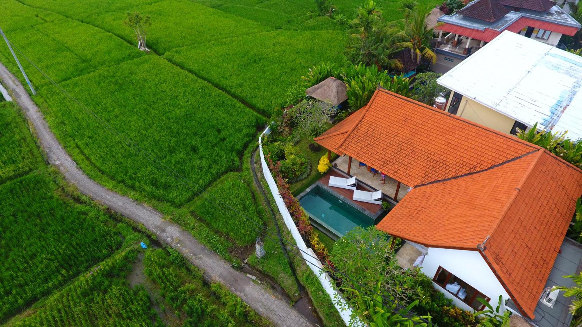 Villa Maya Ubud, Peaceful Rice Field View Екстериор снимка